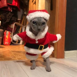 Disfraz de Papá Noel para gatos - cosplay navideño fotográfico