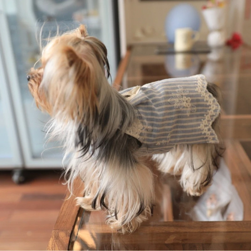 Ropa de verano para perros, vestido para perros pequeños, Chihuahua, perro salchicha, gatos, ropa para mascotas, Halloween, perros, gatos, suministros de disfraces - imagen 3