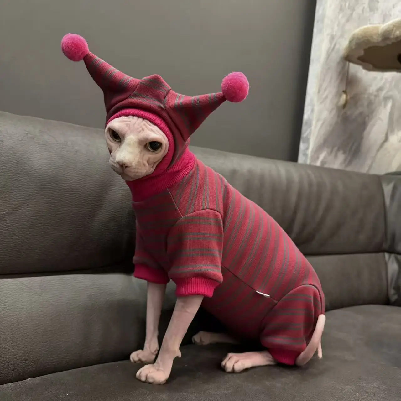 Sudadera de lana a rayas de 4 patas, traje con sombrero para gato Sphynx, abrigo rojo suave y cálido para invierno, disfraz de Año Nuevo para gatitos, Devon Rex - imagen 3