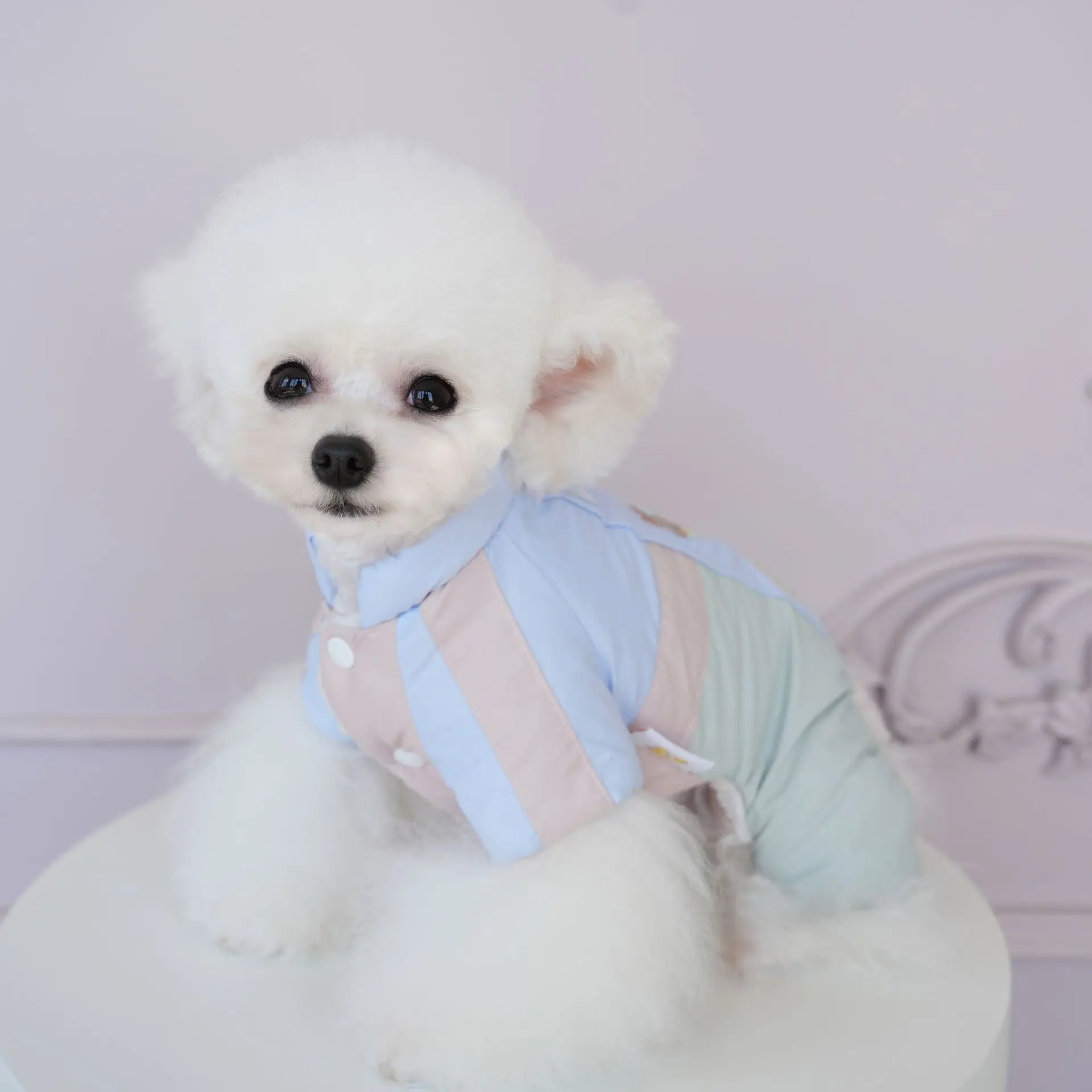 Abrigo grueso de cuatro patas para otoño e invierno, mono cálido para exteriores, ropa para mascotas, ropa para cachorros, pijama para perros pequeños - imagen 5