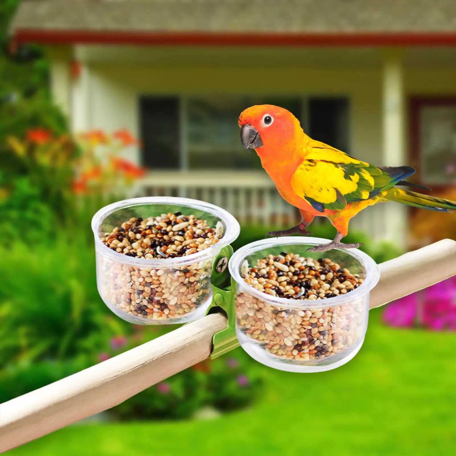 Bird Feeding Cups with Clamp Holder Dishes for Lovebirds Parakeet Cockatiels