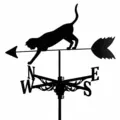 Cat 4