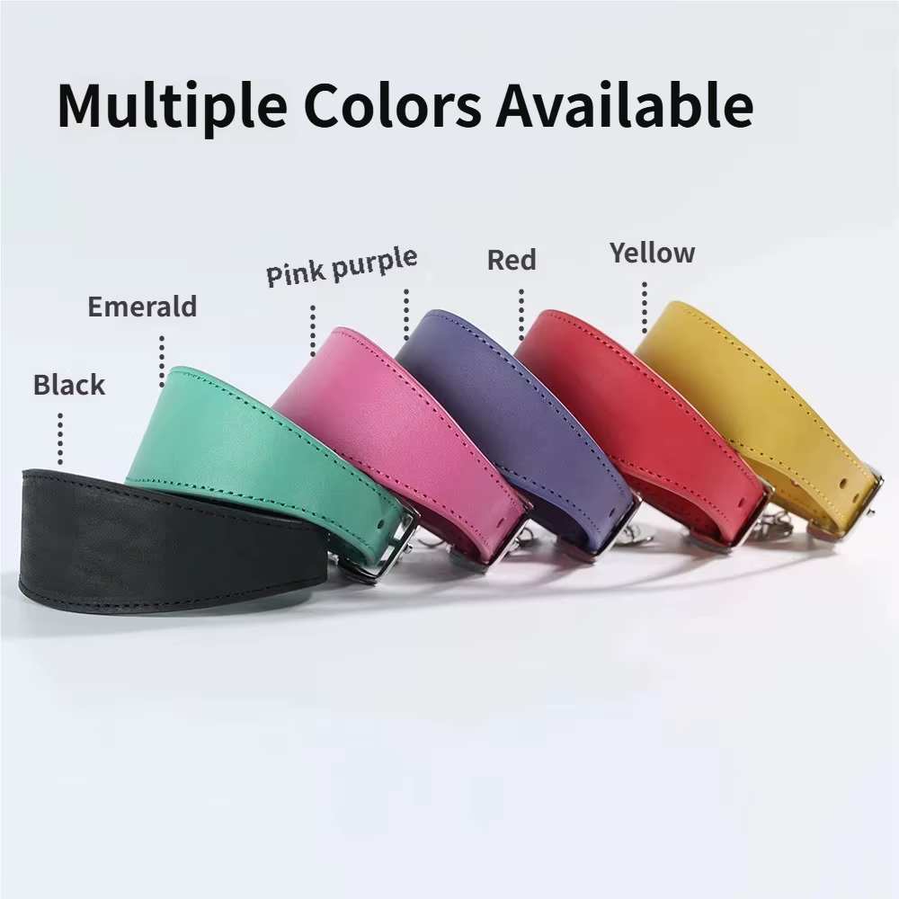 Collar ancho cónico para perros de cuello largo – Greyhound, Dachshund - imagen 5