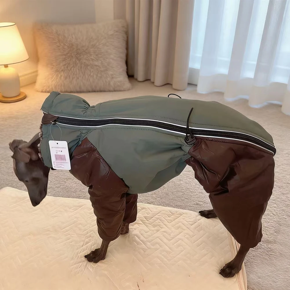 Chaqueta invierno cuello alto para galgo italiano, whippet y bedlington