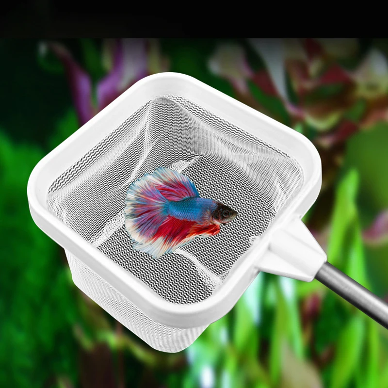 Red retráctil cuadrada con ventosa y mango largo para limpiar acuarios - imagen 2