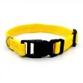 Yellow dog collar