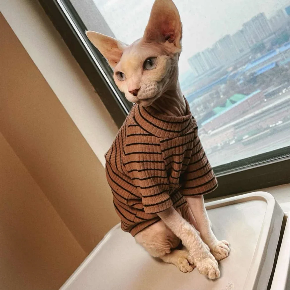 Camiseta clásica de algodón a rayas para gato sin pelo Manga larga Abrigo de café suave para gato Sphynx Ropa de estar por casa para gatitos en primavera