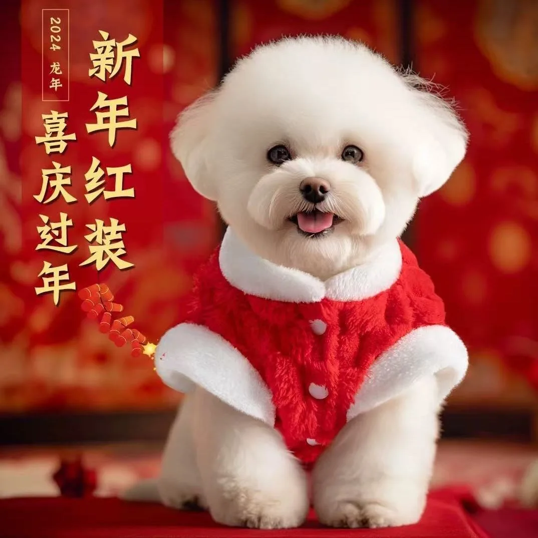 hmqViviiyNSAyin9WueWt1jg71emVtwgTKWY