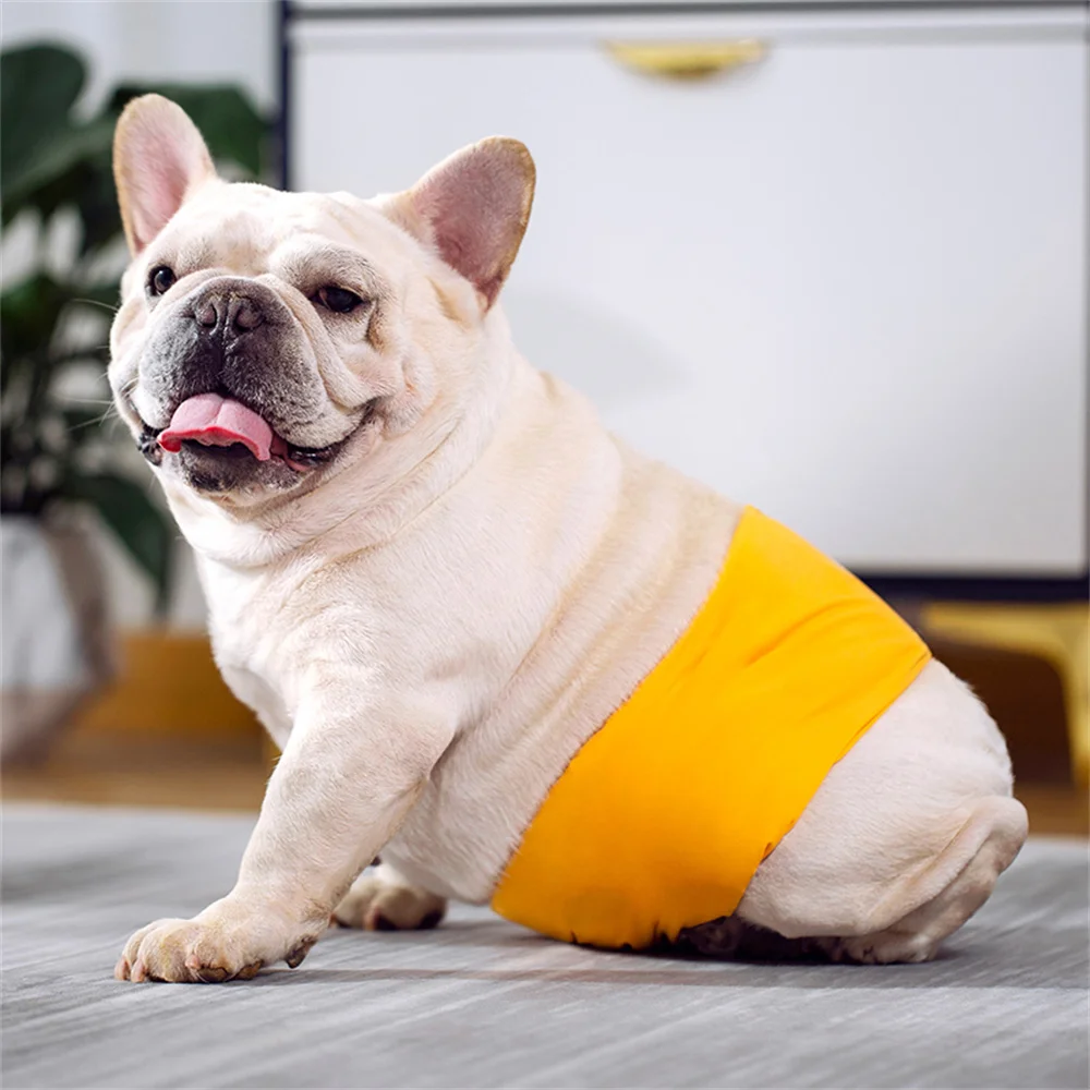 Pañales reutilizables para perros masculinos, pantalones fisiológicos impermeables para perros pequeños y medianos, cinturón protector Abdominal para perros Pug Collie Shepherd - imagen 5