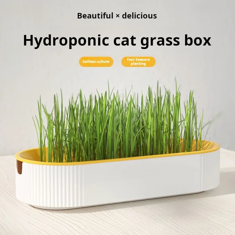 Caja de hierba hidropónica para gatos, golosinas para gatos, hierba gatera, plantación hidropónica sin suelo, juego de macetas de hierba para gatos para un fácil crecimiento