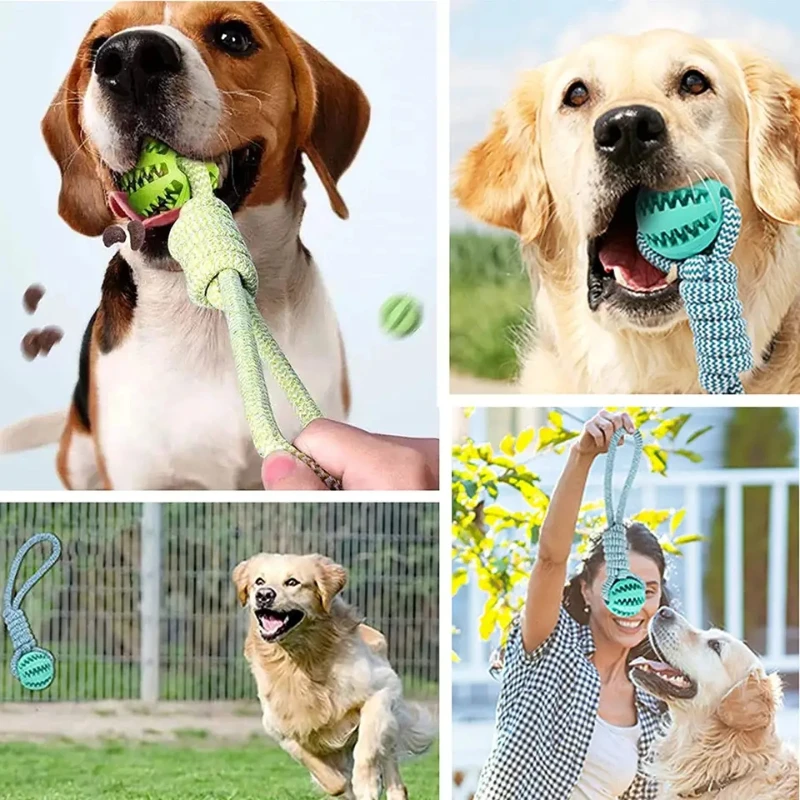 Pelota de juguete para perros con cuerda, pelotas interactivas con fugas para perros pequeños y grandes, juguetes para masticar resistentes a mordeduras, accesorios para entrenamiento de cachorros para mascotas - imagen 4
