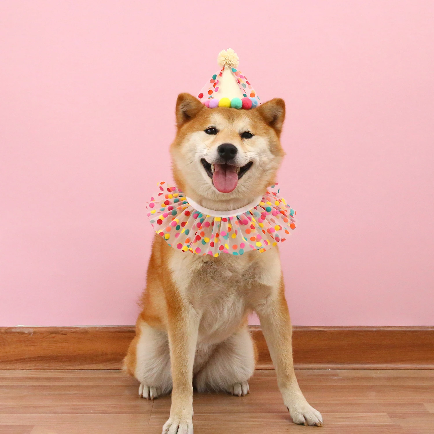 Sombrero de cumpleaños colorido para perros y gatos, bufanda ajustable para cumpleaños, conjunto de sombrero, babero para perros, vestido de fiesta de cumpleaños para mascotas, sombrero, accesorios para perros - imagen 3