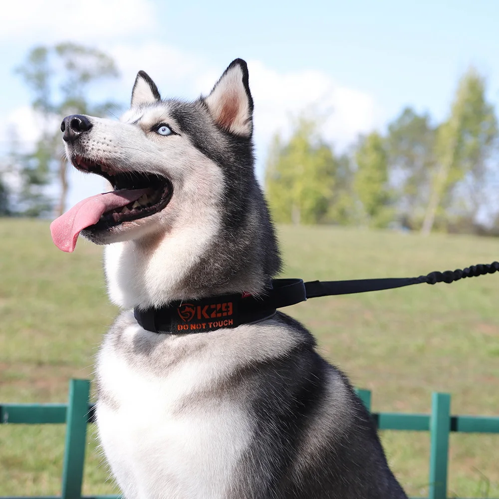Collar táctico de entrenamiento reflectante para perros grandes y medianos, collares para mascotas de alta calidad, accesorios para mascotas Labrador Husky - imagen 5