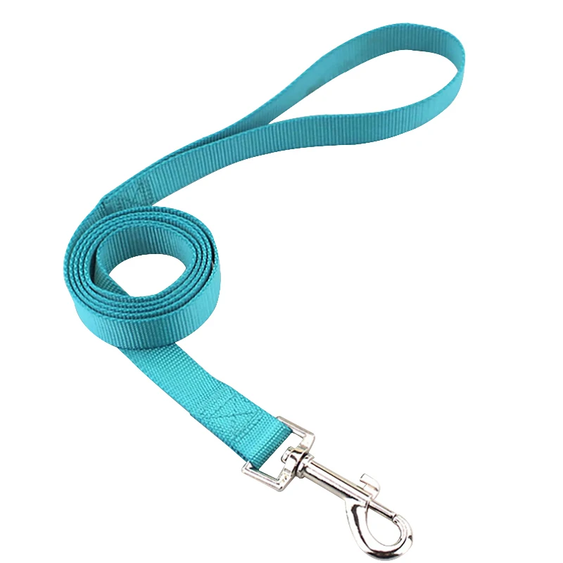 Sky Blue Leash