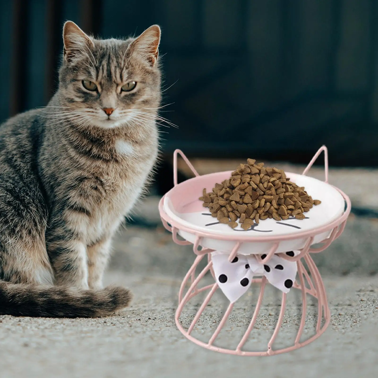 Cat Bowl Dog Bowl Pet Food Water Feeder Drinker Cat Raised Elevated Feeder