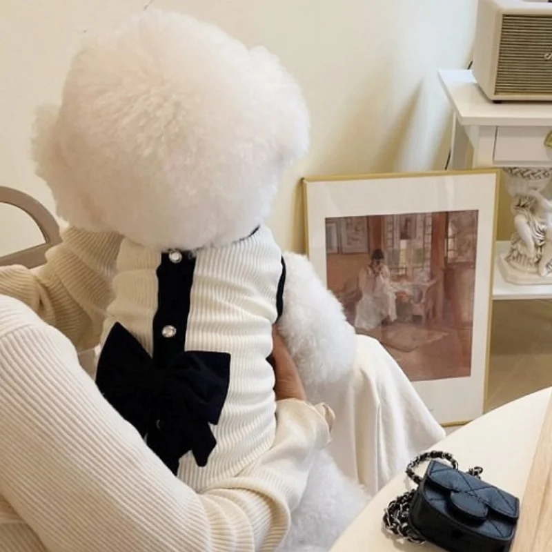 Vestidos de estilo princesa para perros, ropa de verano para mascotas, falda de boda para cachorros, chaleco de gato a la moda, disfraces suaves para mascotas, chaleco para perros Chihuahua - imagen 3