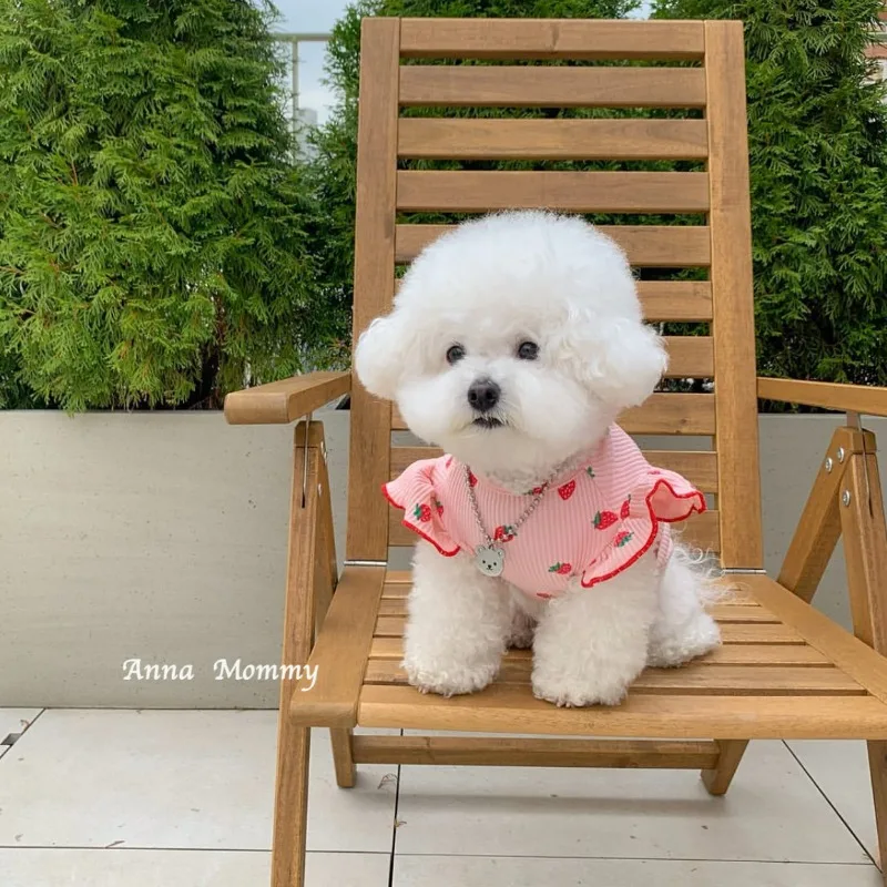 Chaleco verano con diseño fresa para perros pequeños - imagen 4