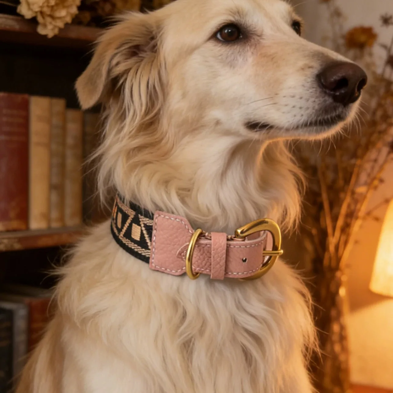 Collar de cuero para perro – Ajustable, artesanal y bohemio