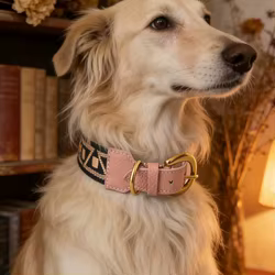 Collar de cuero para perro – Ajustable, artesanal y bohemio