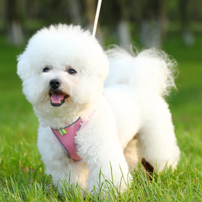 Correa para el pecho para mascotas, tipo chaleco, correa transpirable para perros y gatos, cuerda reflectante para caminar para perros, suministros para mascotas - imagen 4