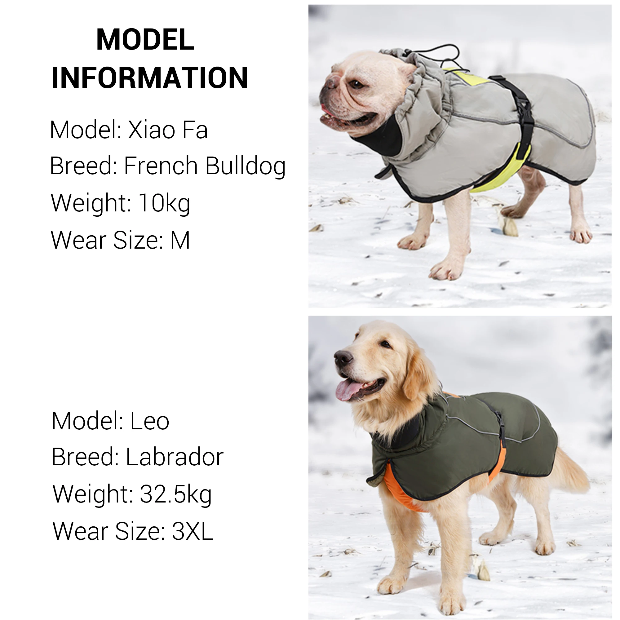 Ropa de invierno para perros, chaqueta gruesa acolchada, impermeable, cálida para perros medianos y grandes, abrigo reflectante de seguridad para mascotas, Parka para exteriores a prueba de nieve - imagen 4