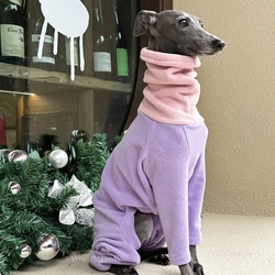 Abrigo con sombrero para Whippet y galgo italiano