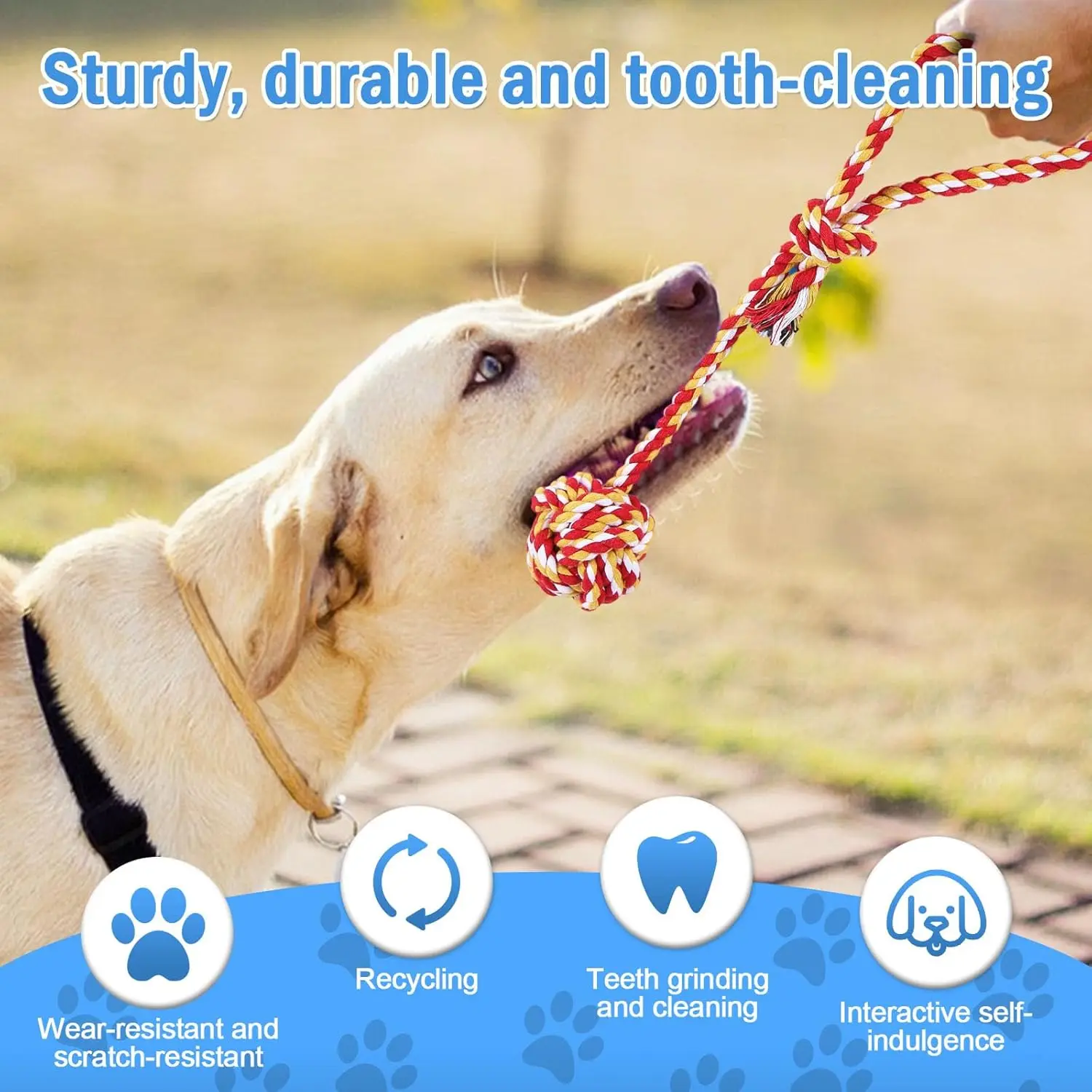 Juguetes interactivos de cuerda con nudos para cachorros - imagen 3