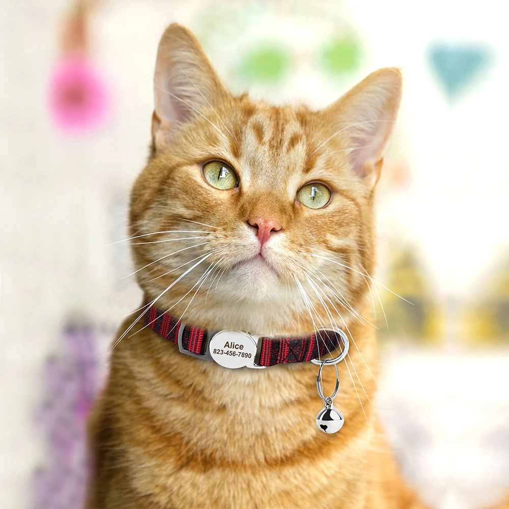 Collar personalizado para gato con placa grabada – Ajustable antipérdida - imagen 5