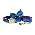 Bow Collar Leash Set