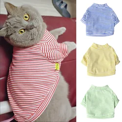 Ropa primavera verano para gatos – Jersey de algodón, camisa y pijama