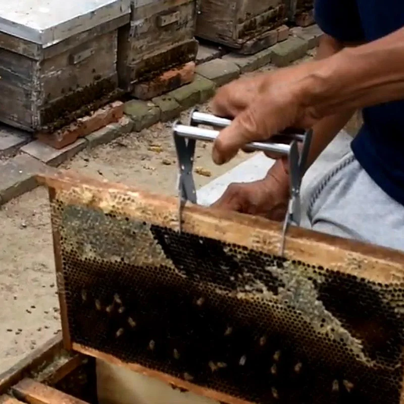 Clip de marco de colmena de abeja, soporte de marco de caja de nido de abeja, marco de captura de acero inoxidable, agarre de abrazadera de Clip de colmena, accesorios de apicultura - imagen 3