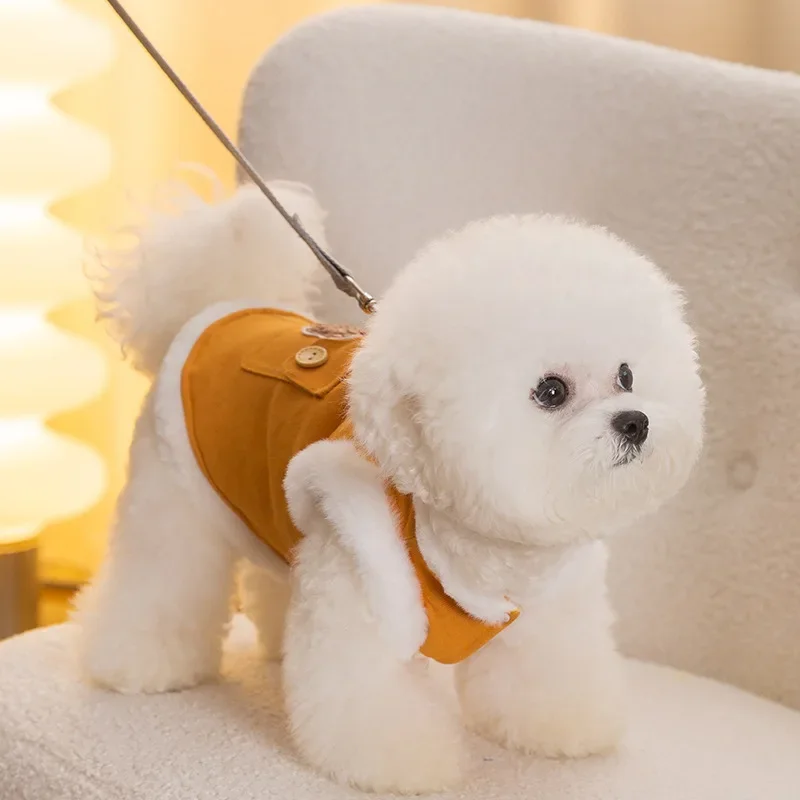 Ropa cálida de terciopelo para perros, chaleco con correa de rebabas de terciopelo de conejo de imitación, ropa para mascotas pequeñas, ropa para gatos, disfraz para mascotas - imagen 3