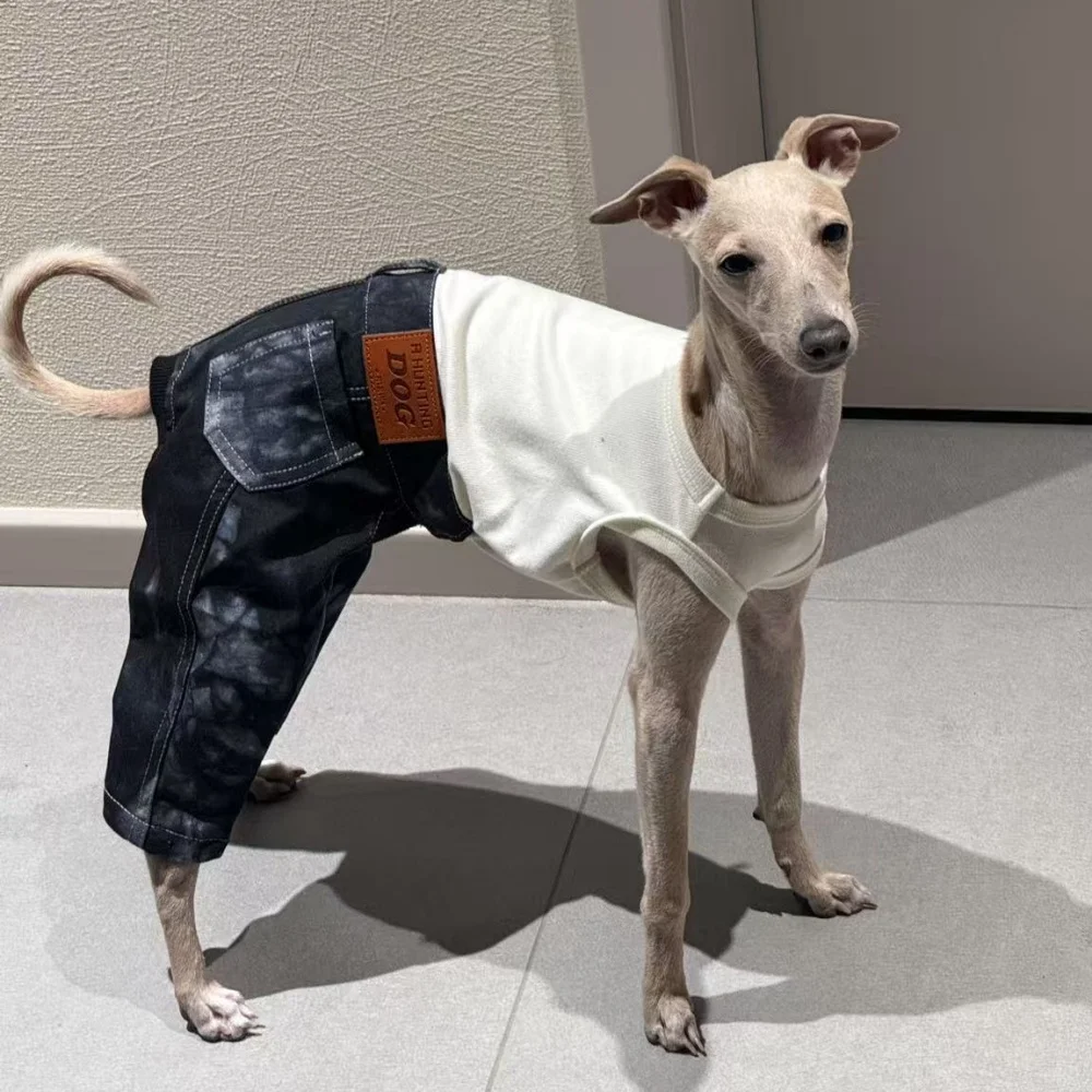 Ropa para Perros Mono de mezclilla azul de algodón primavera de una pieza Camiseta beige de alta elasticidad Pantalón negro para disfraces de caniche caniche italiano verde - imagen 4