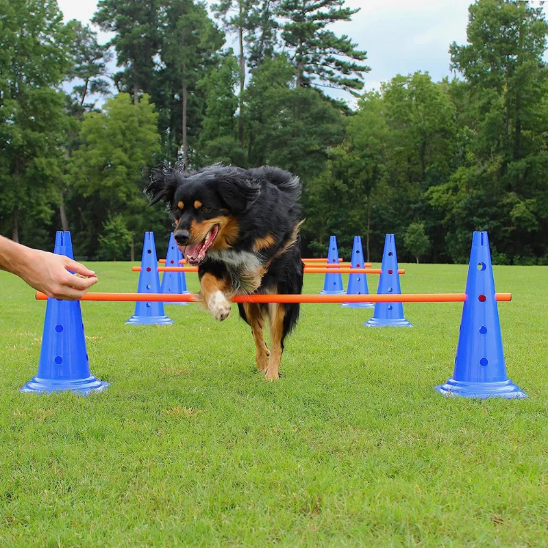Conjunto de entrenamiento de agilidad para mascotas, barra de salto para perros, equipo de entrenamiento de obstáculos, dispositivo de entrenamiento para perros, suministros para mascotas - imagen 3