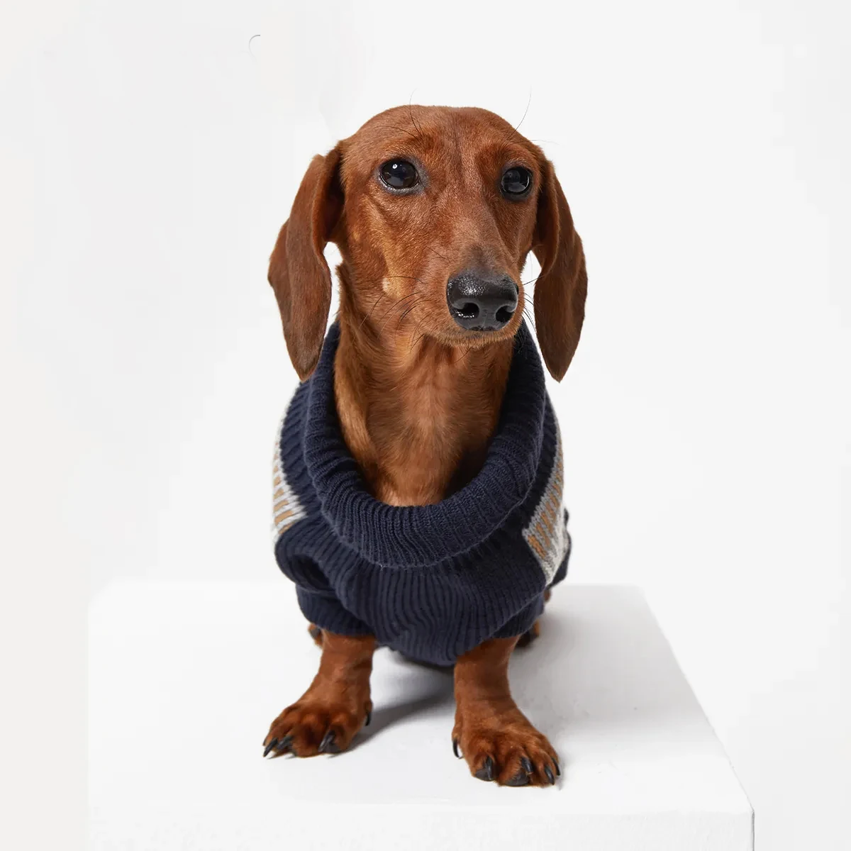 Suéter Retro de estilo británico para perros Wiener, chaleco grueso y suave de invierno para perros salchicha, abrigo de moda para perros pequeños y medianos de tejón - imagen 5