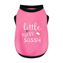 Jersey urbano para perros – Camisa suave y transpirable de invierno