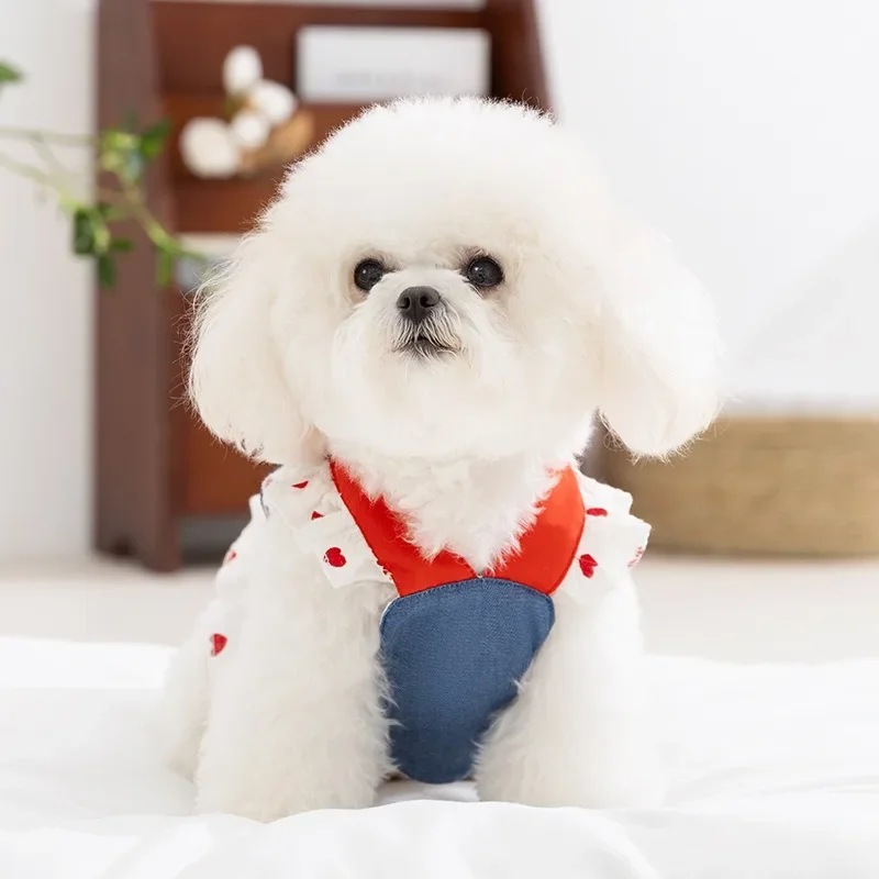 Lindo arnés para mascotas muñeco de nieve cachorro portador vestido Primavera Verano fino Teddy malla ropa Bichon vestido transpirable ropa para perros de dibujos animados - imagen 4