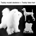 Teddy model  hair