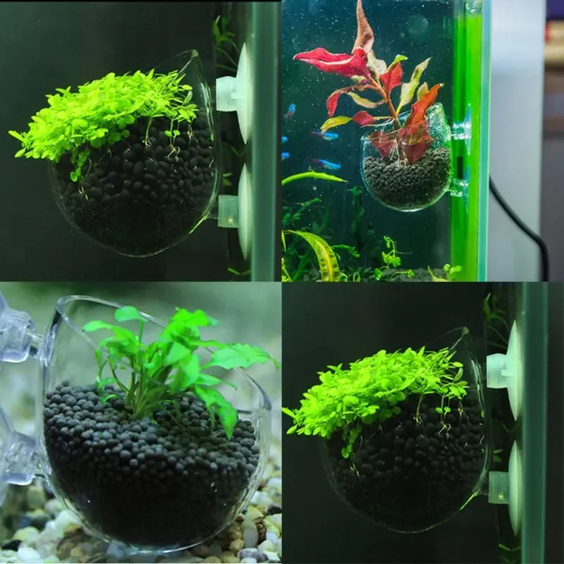 Soporte para plantas de acuario, maceta de cristal para plantas acuáticas con ventosas para decoraciones de peceras - imagen 2