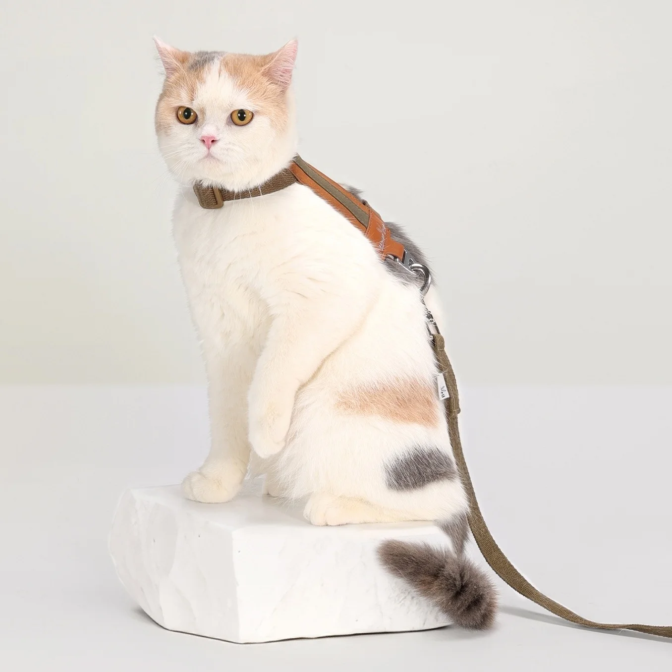 Arnés en forma de H para mascotas, arnés de cuero suave para gatos con juego de correa, arnés ligero para mascotas, arnés ajustable a prueba de Escape para gatos - imagen 4