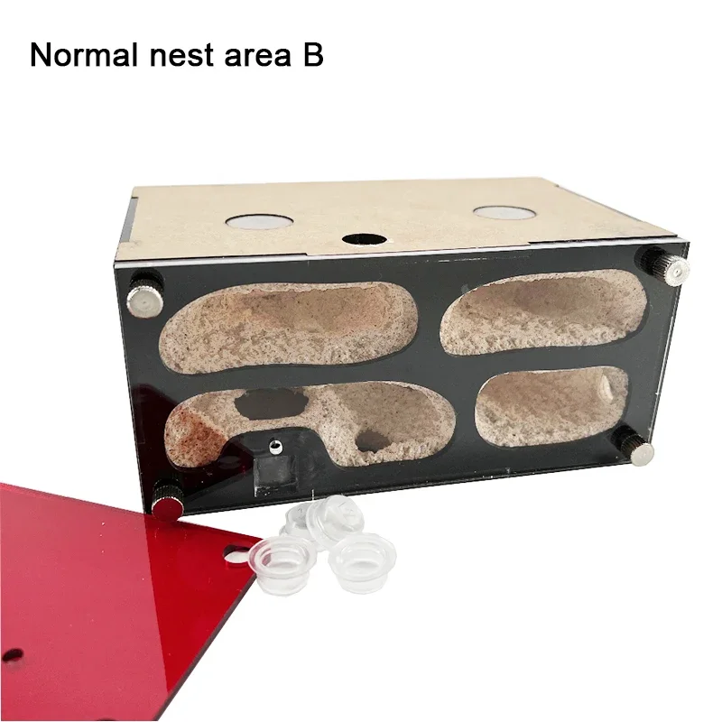 Normal nest area-B