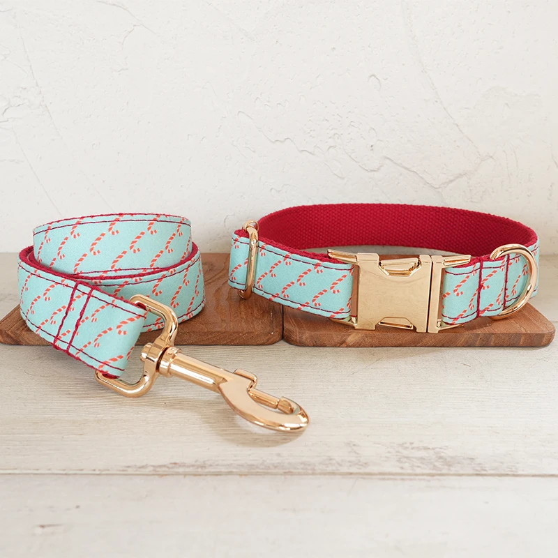 Dog Collar Leash Set