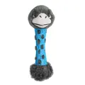 Blue ostrich