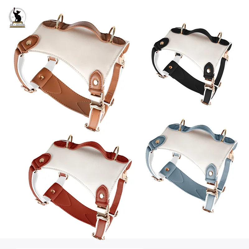 Arnés con nombre impreso para perro, juego de correas de plomo ajustables para chaleco de perro, accesorios para Pug, correa de pecho, herramientas de seguridad para exteriores - imagen 5