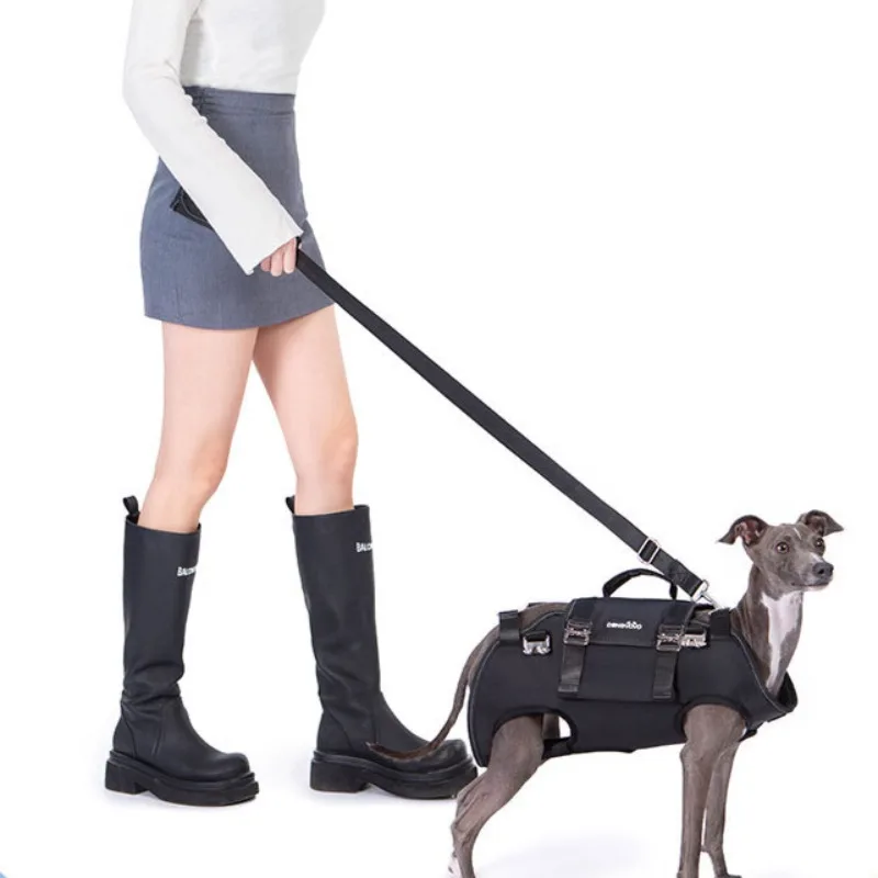 Bolsa para mascotas con hombro cruzado y ventilación, mochila portátil, bolso de remolque, accesorios para montar en perros, productos para mascotas, protege la columna vertebral - imagen 2