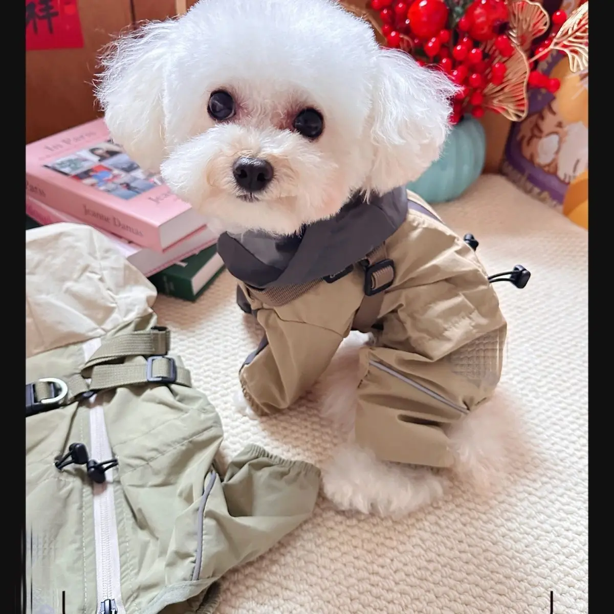 Mono de otoño e invierno para mascotas, bolsa a prueba de viento, pantalones pequeños de cuatro patas para el vientre, chaqueta para exteriores para mascotas, ropa para cachorros pequeños