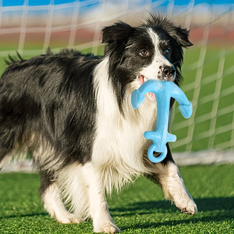 Juguete interactivo para perros pequeños y medianos, juguete para cachorros resistente a mordeduras, juguetes para limpiar los dientes, suministros para mascotas - imagen 5