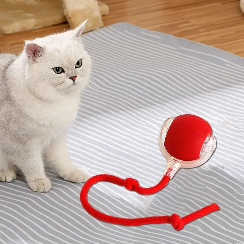 Bola rodante automática, pelota interactiva, juguetes para gatos, suministros para mascotas, entrenamiento eléctrico para perros y gatos para imitar productos recargables para ratas - imagen 5