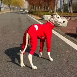 Mono de lana para Galgo Italiano y Whippet – Ropa de Invierno