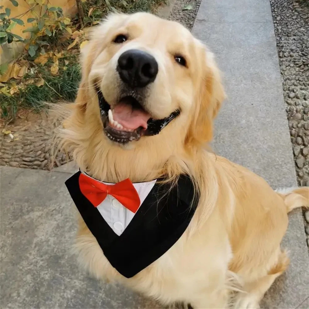 Pajarita para perro guapo, accesorios para fiesta de boda para perros pequeños, medianos y grandes, vendaje Triangular para cachorros y perros grandes de alta calidad - imagen 4